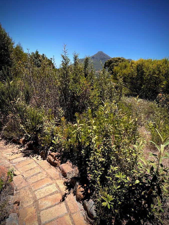 Windrose, Noordhoek, Sensationeller Meerblick Cape Town Bagian luar foto